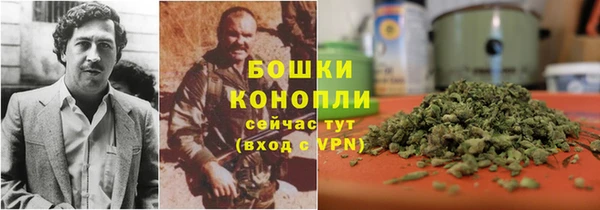 бошки Няндома