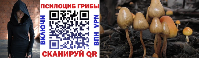 Псилоцибиновые грибы Cubensis  что такое наркотик  Туран 